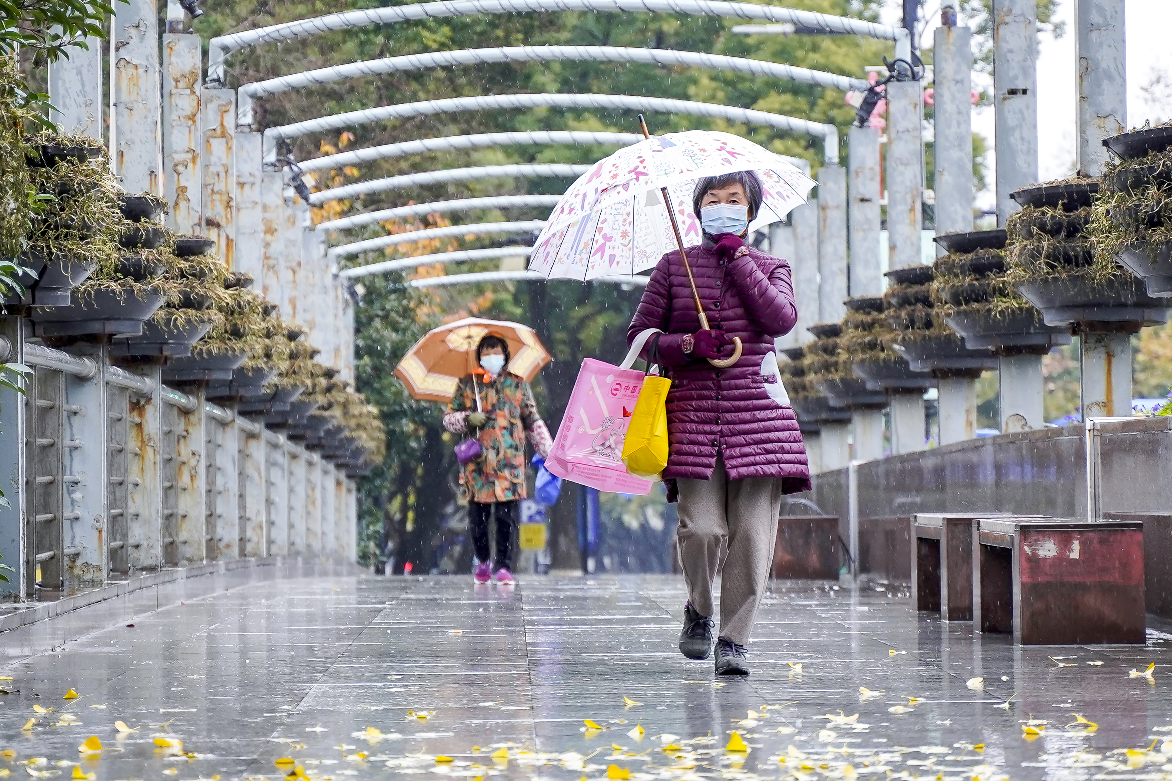 一場雨后  寒潮即將“到貨”