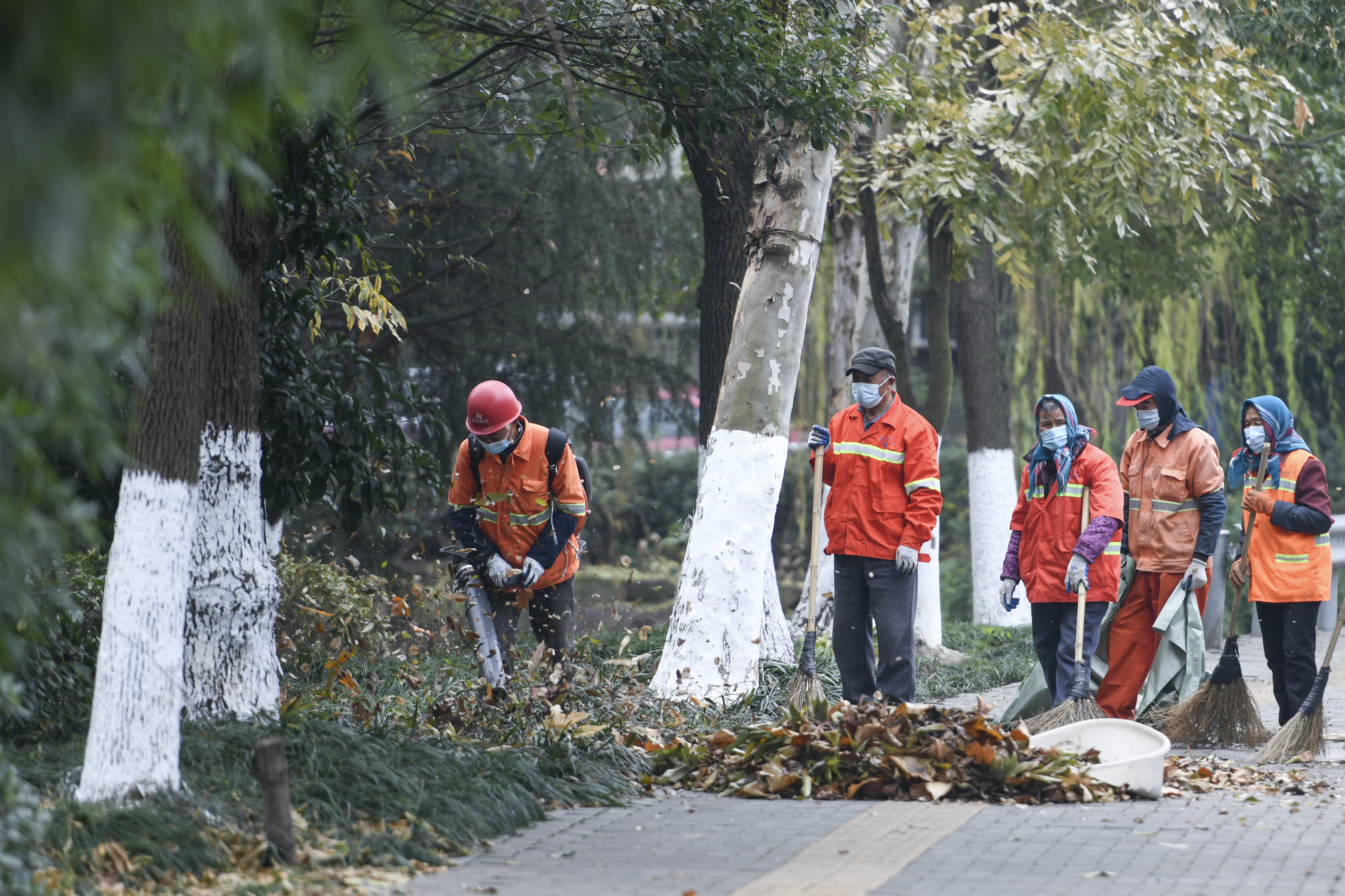 清除落葉保潔市容