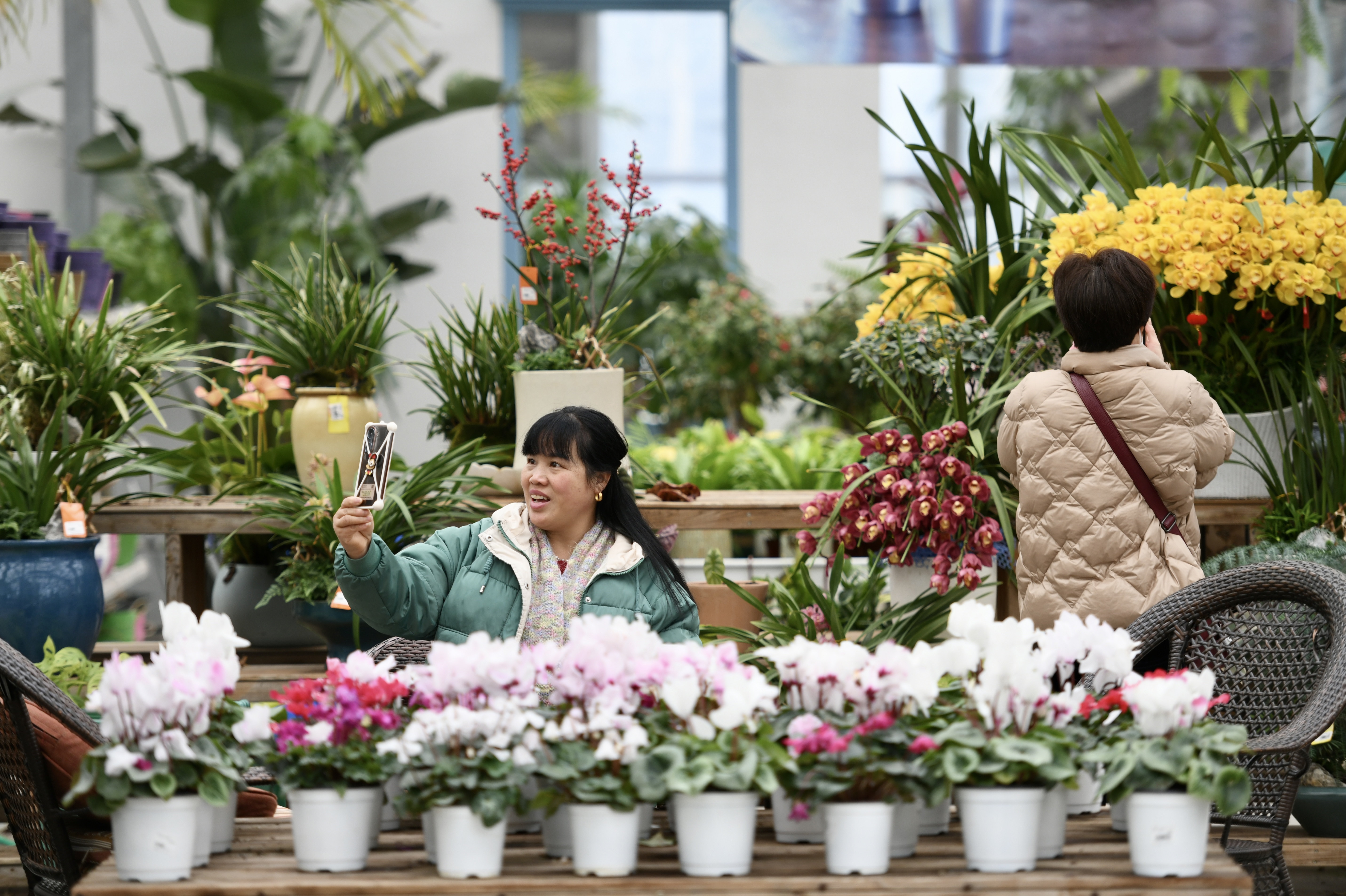 花房中尋找春天