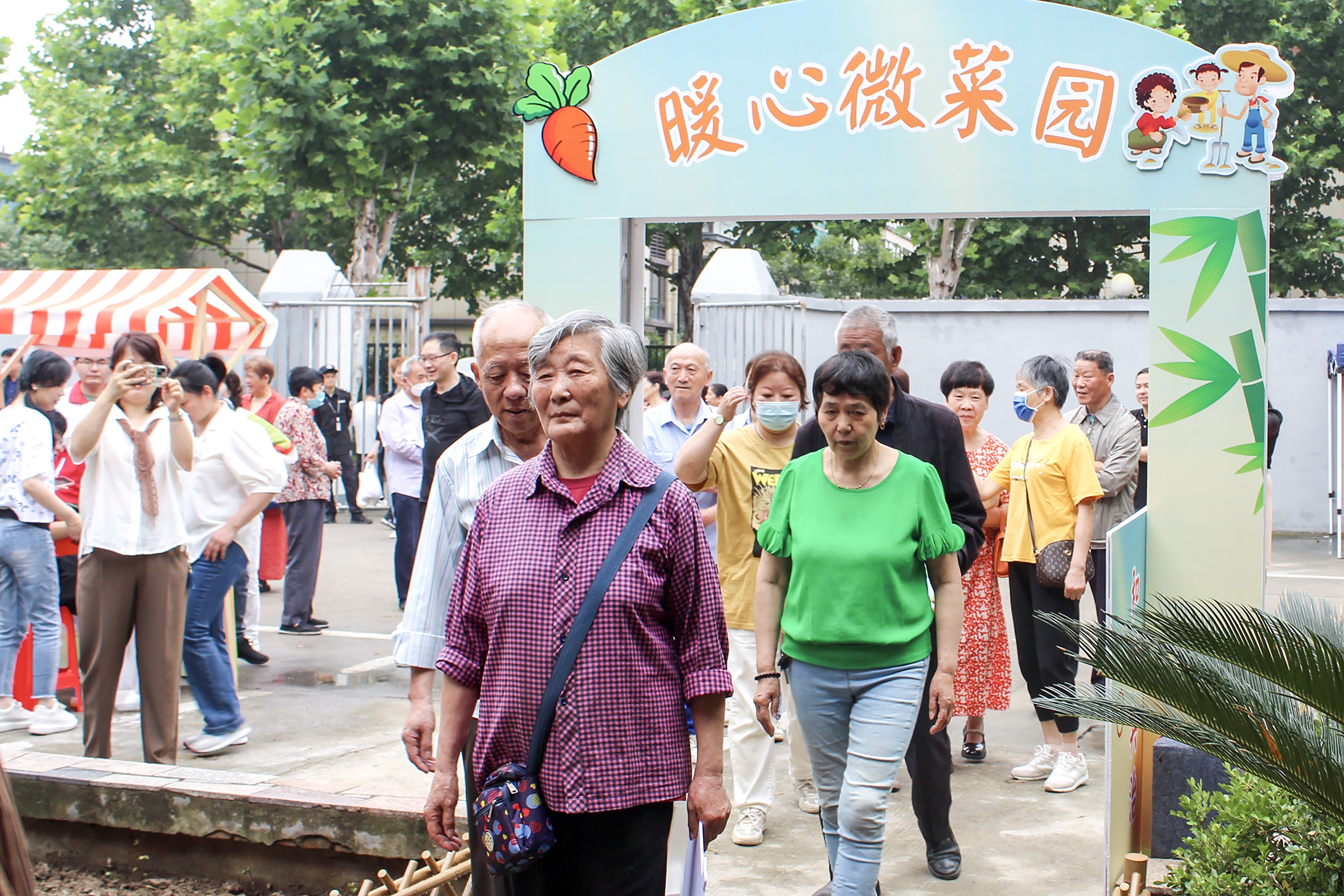 暖心微菜園 鄰里共維護(hù)