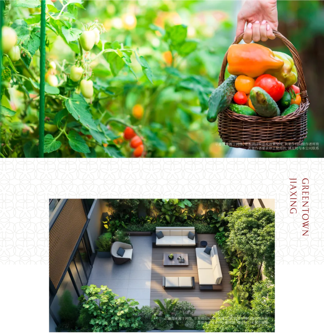 https://mmbiz.qpic.cn/sz_mmbiz_png/iaZZlG5icPzP5cX6z7G0skXJb7CFlwqcP2zgyTstKQAs60ia6EzuGciaRml46RFg5icVE05Bh1FhYUxibEhSue3EU8kQ/640?wx_fmt=png&from=appmsg&tp=webp&wxfrom=5&wx_lazy=1&wx_co=1 圖片