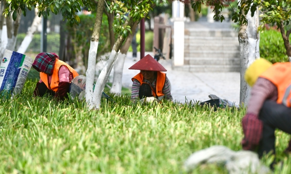 養(yǎng)護(hù)綠化 不負(fù)春光