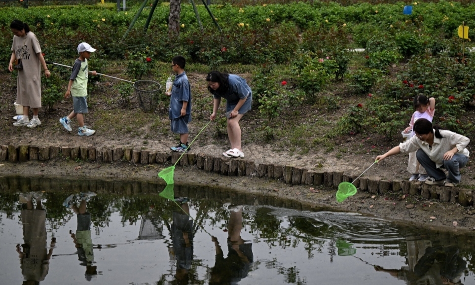 水中探趣