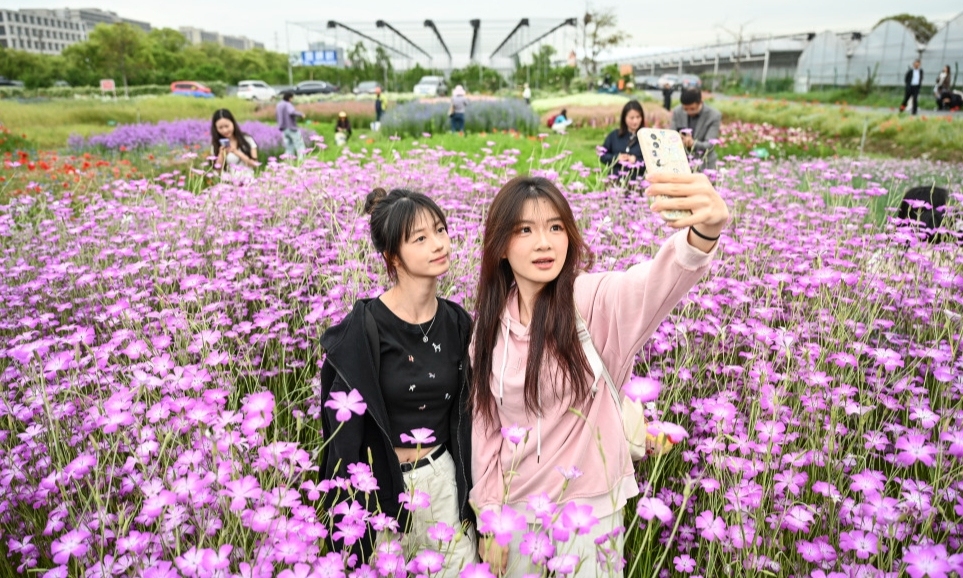 海寧花海霸屏！世界花園大會(huì)開(kāi)啟浪漫春日之約