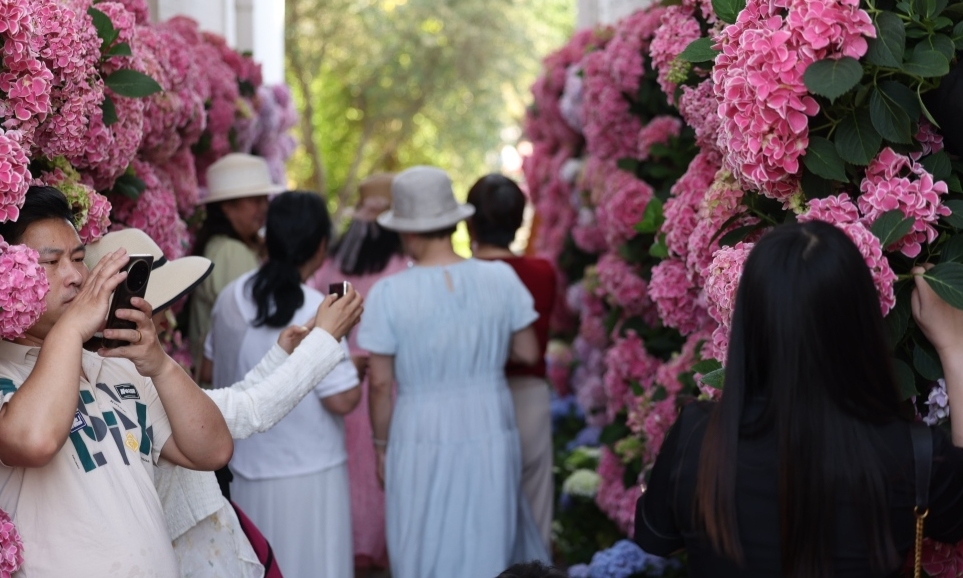 在世界的花園里“搶”機(jī)位