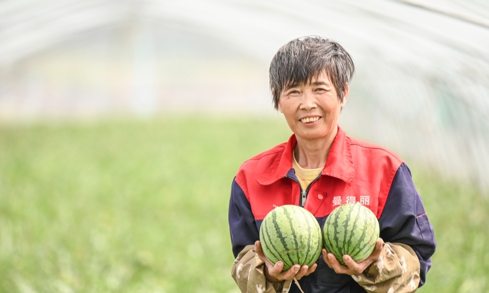 
            立夏后第一口甜！“特小鳳”西瓜甜蜜上市