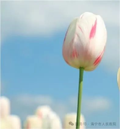 https://mmecoa.qpic.cn/sz_mmecoa_jpg/nergRibqqrNiawNAdGhZc5jQnX9YiccTZ29EVgiatAGtuuciantrHsjmONo9nKB0mFSPdWNiaoia0ZyxLVsgefAauD5lw/640?wx_fmt=jpeg&tp=wxpic&wxfrom=10005&wx_lazy=1 圖片