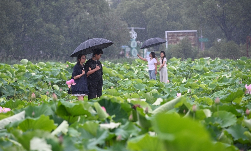 聽雨賞荷 盡享夏日詩(shī)意