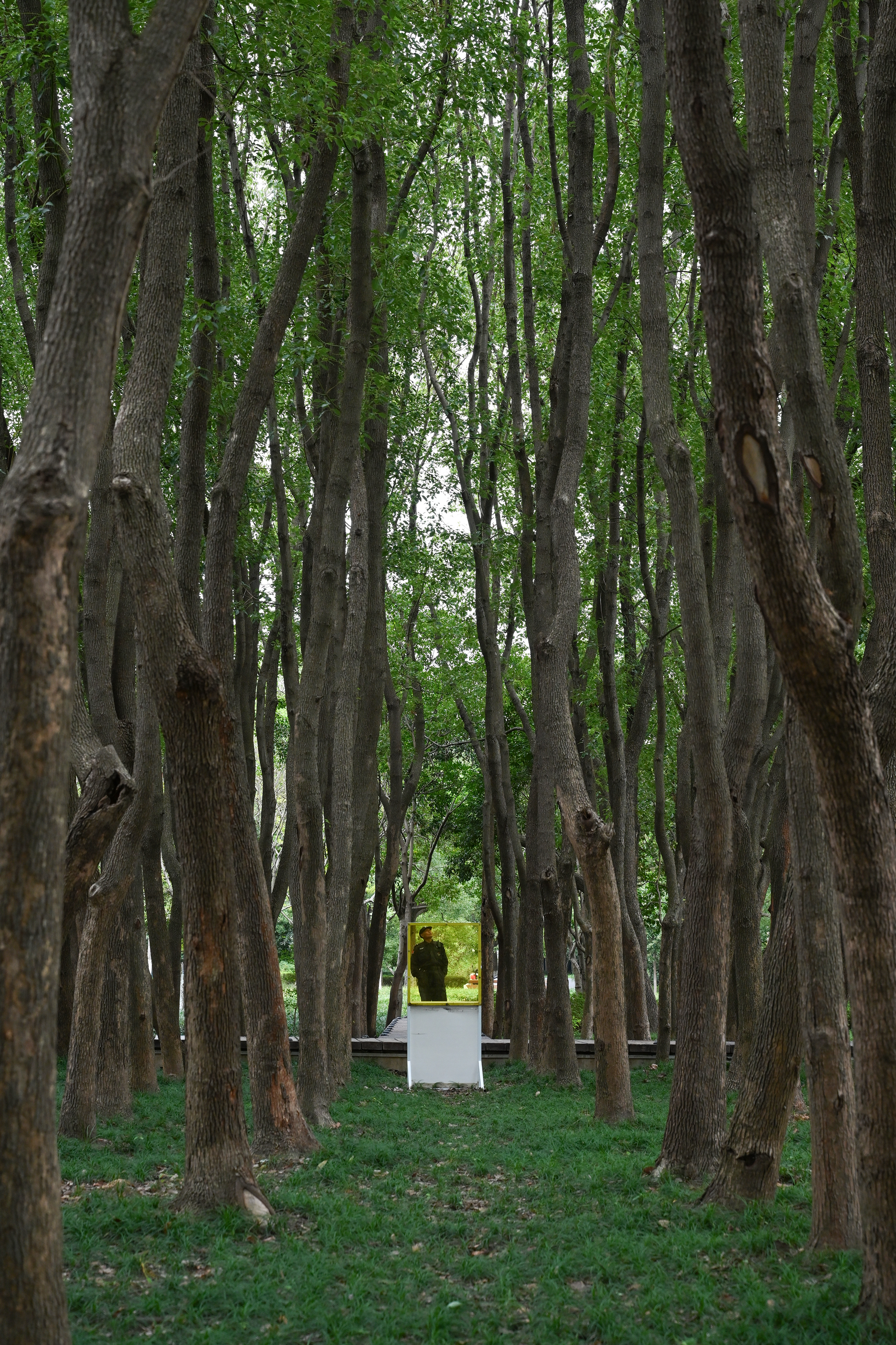 DSC_3881 拷貝.jpg