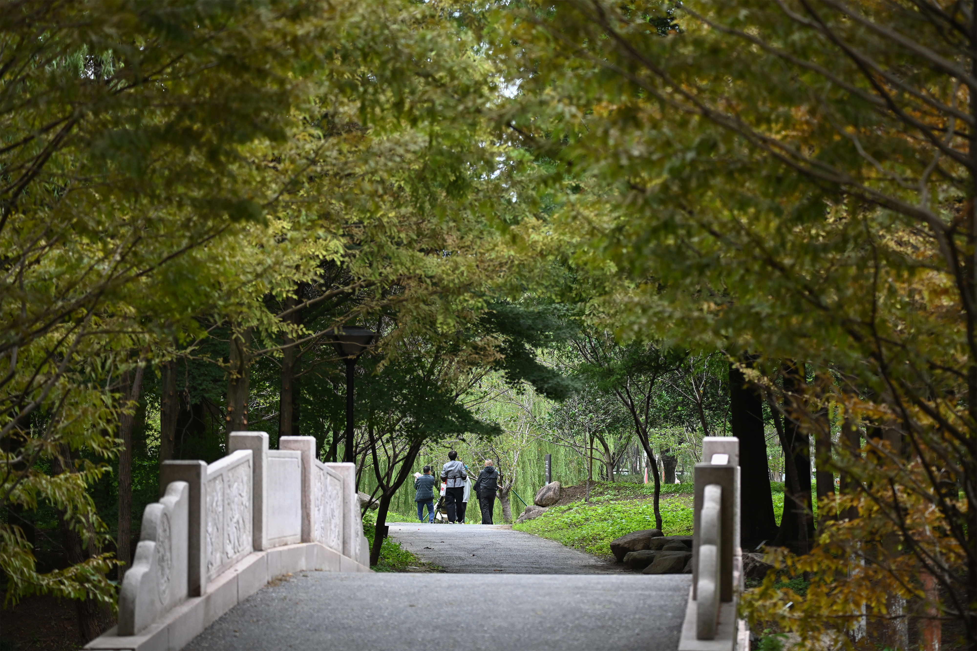 DSC_3844 拷貝.jpg