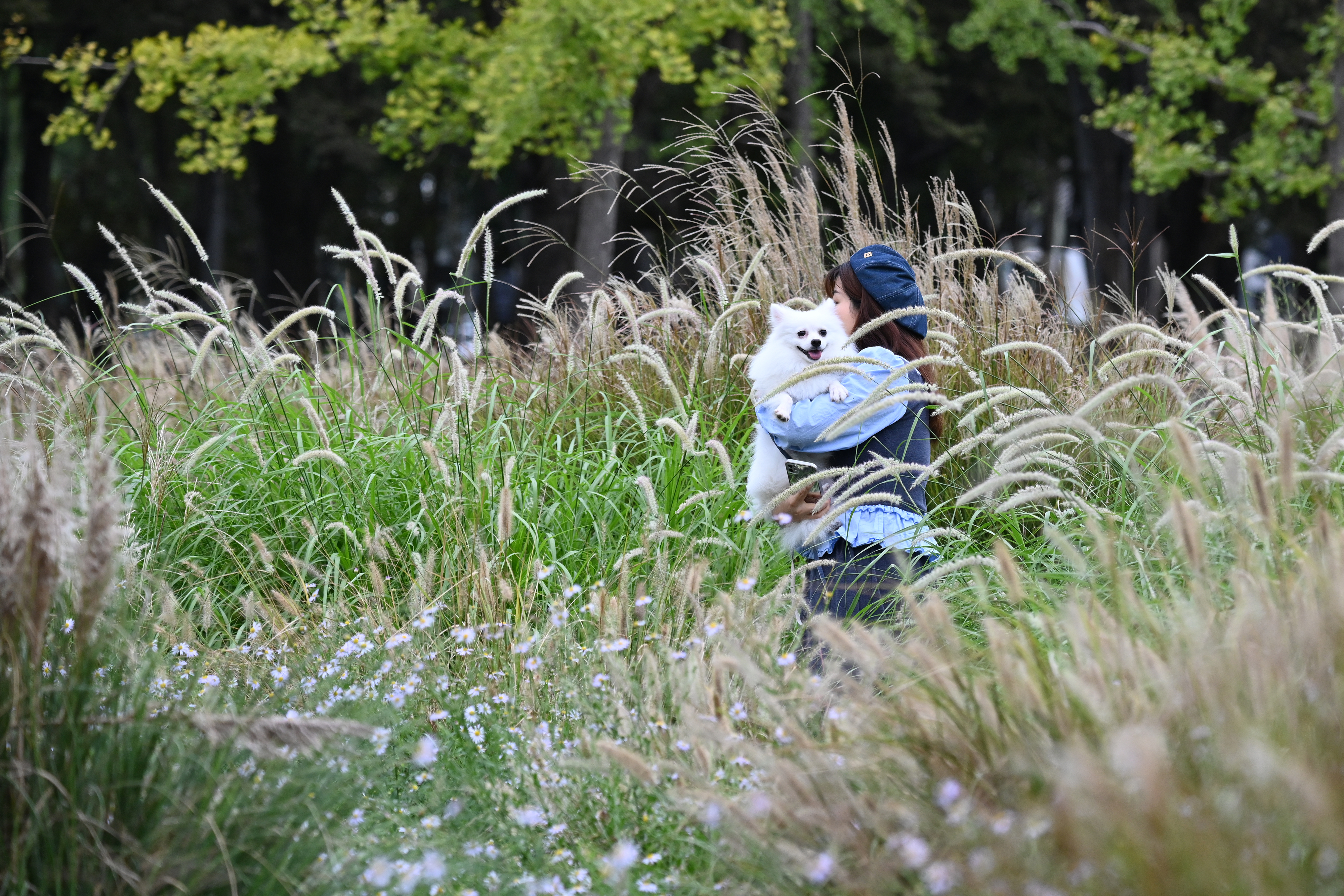 DSC_3779 拷貝.jpg