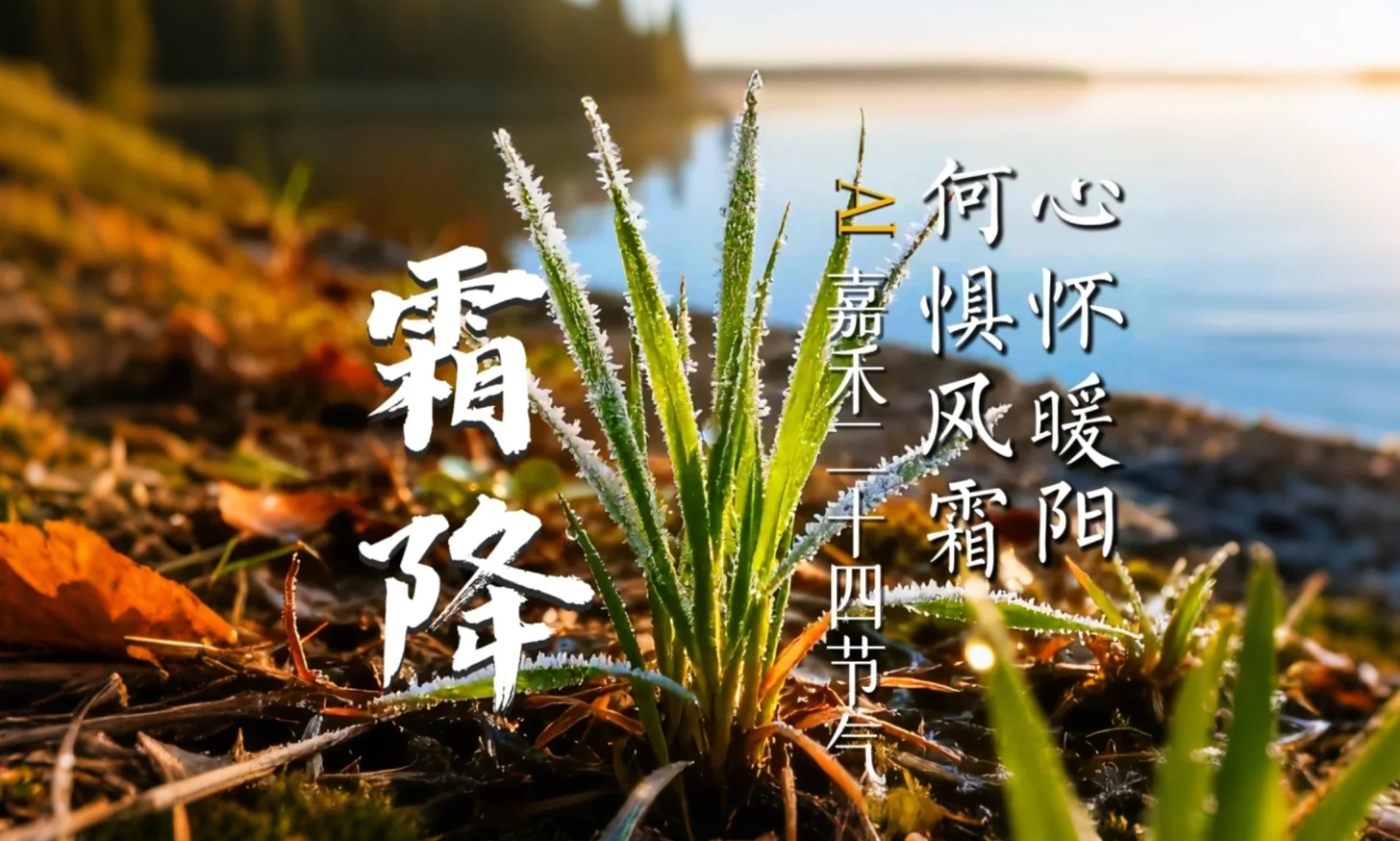 霜降 ：心懷暖陽(yáng) 何懼風(fēng)霜