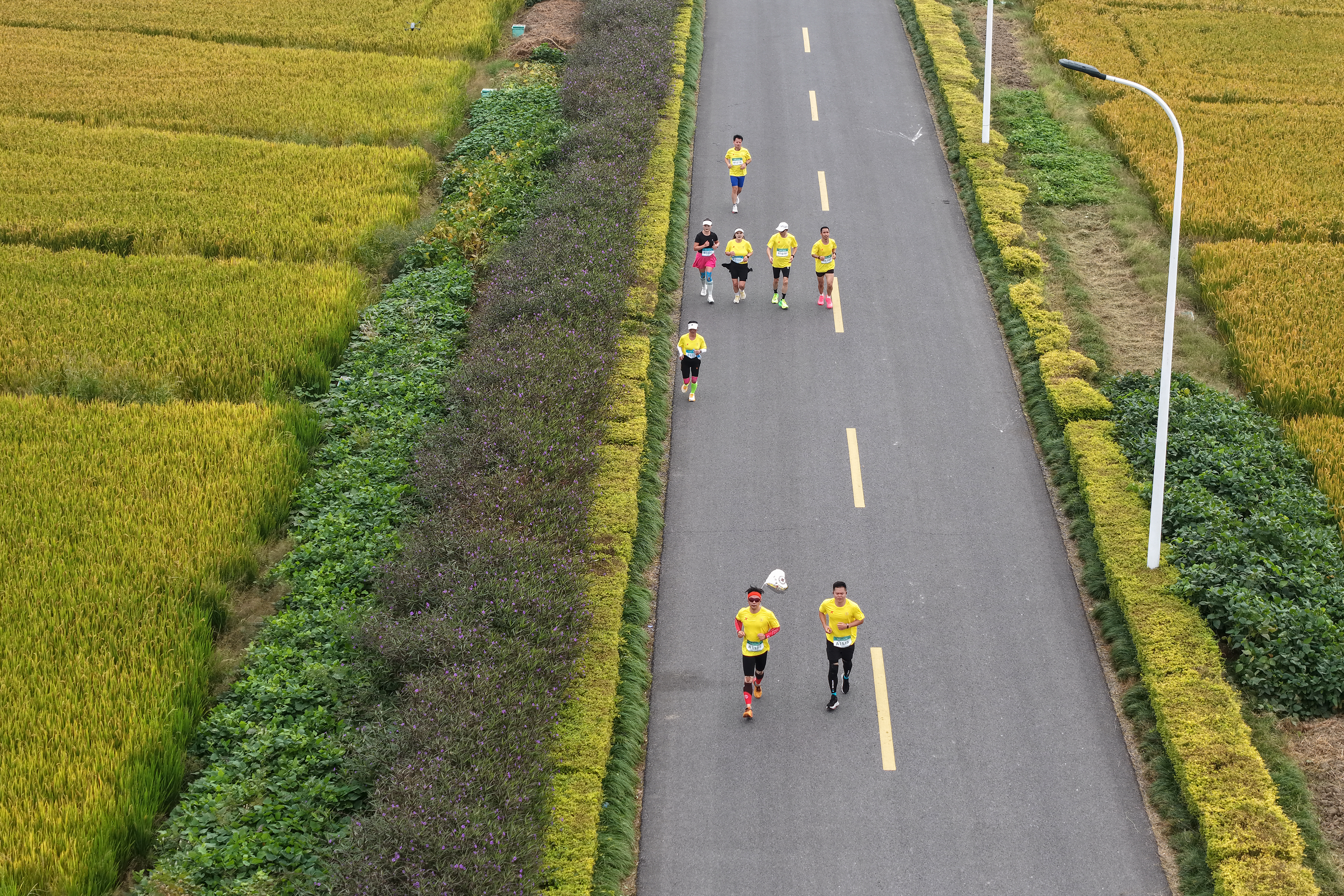 DJI_20251026085729_0092_D 拷貝.jpeg