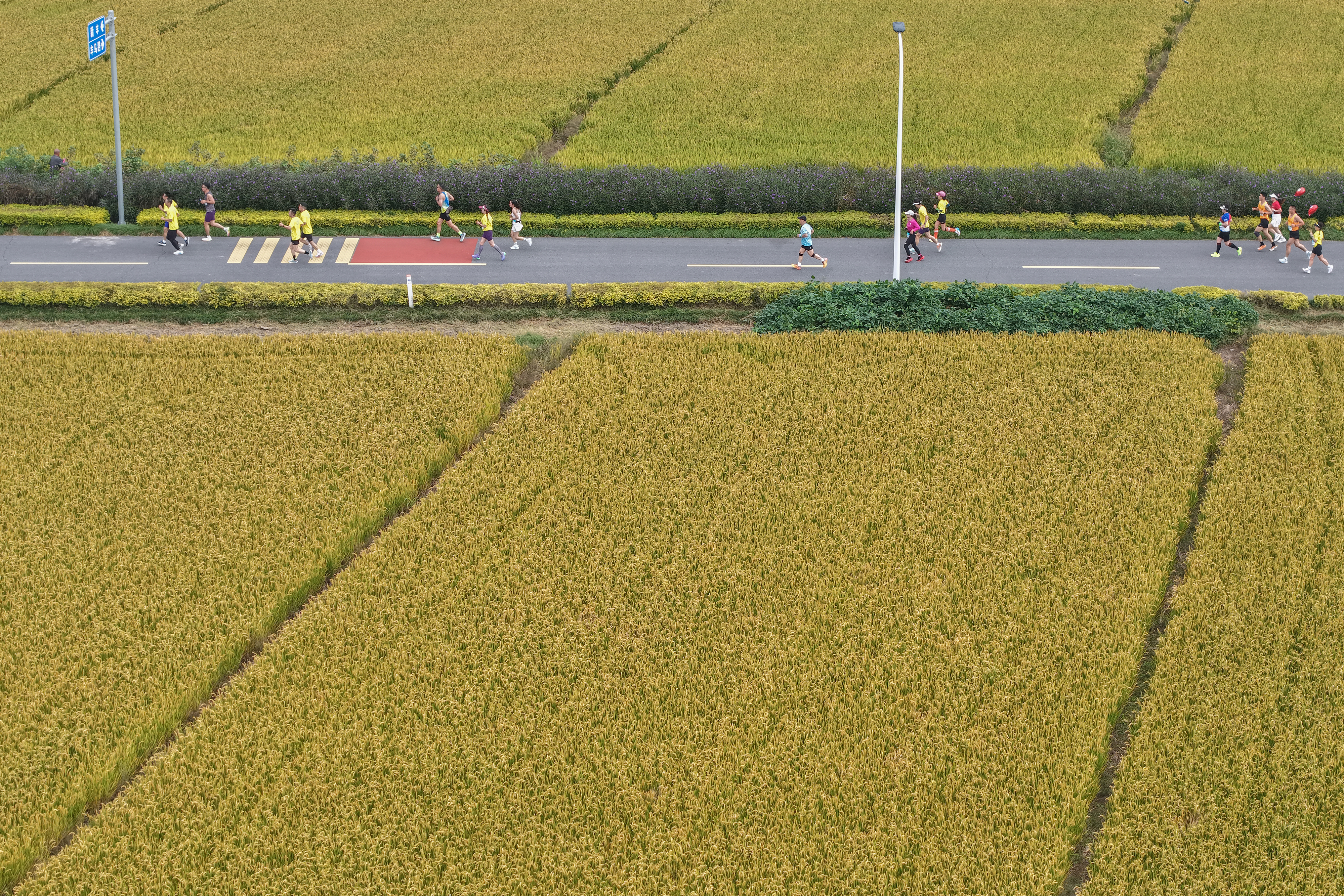 DJI_20251026085316_0088_D 拷貝.jpeg