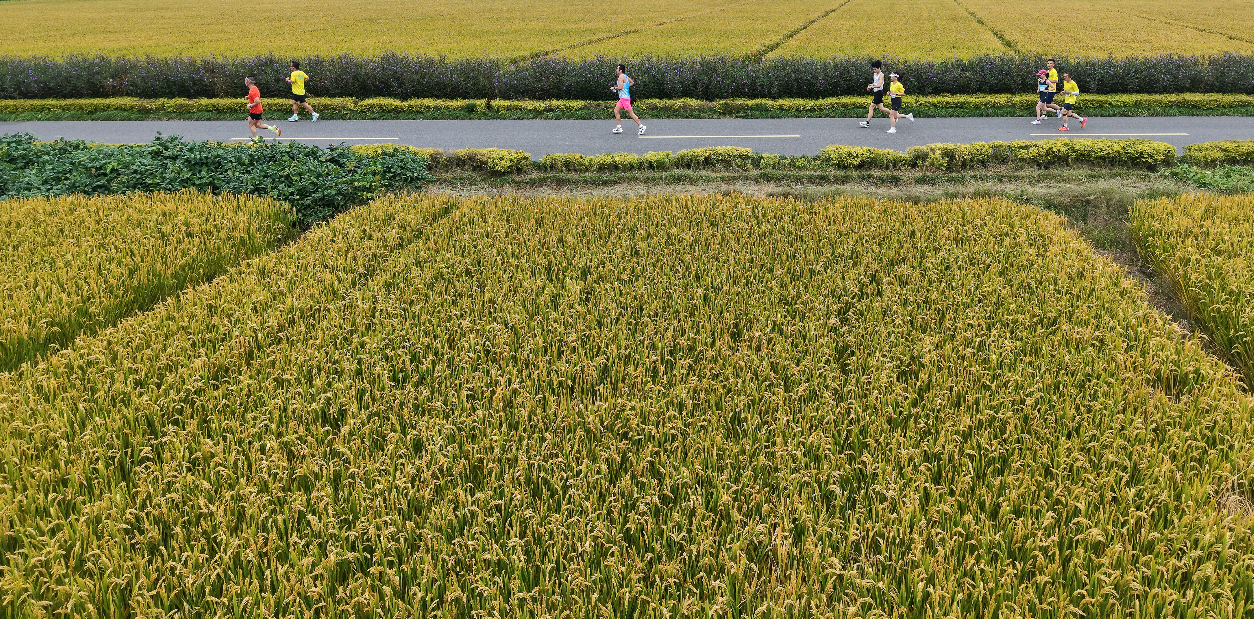 DJI_20251026084006_0071_D 拷貝.jpeg