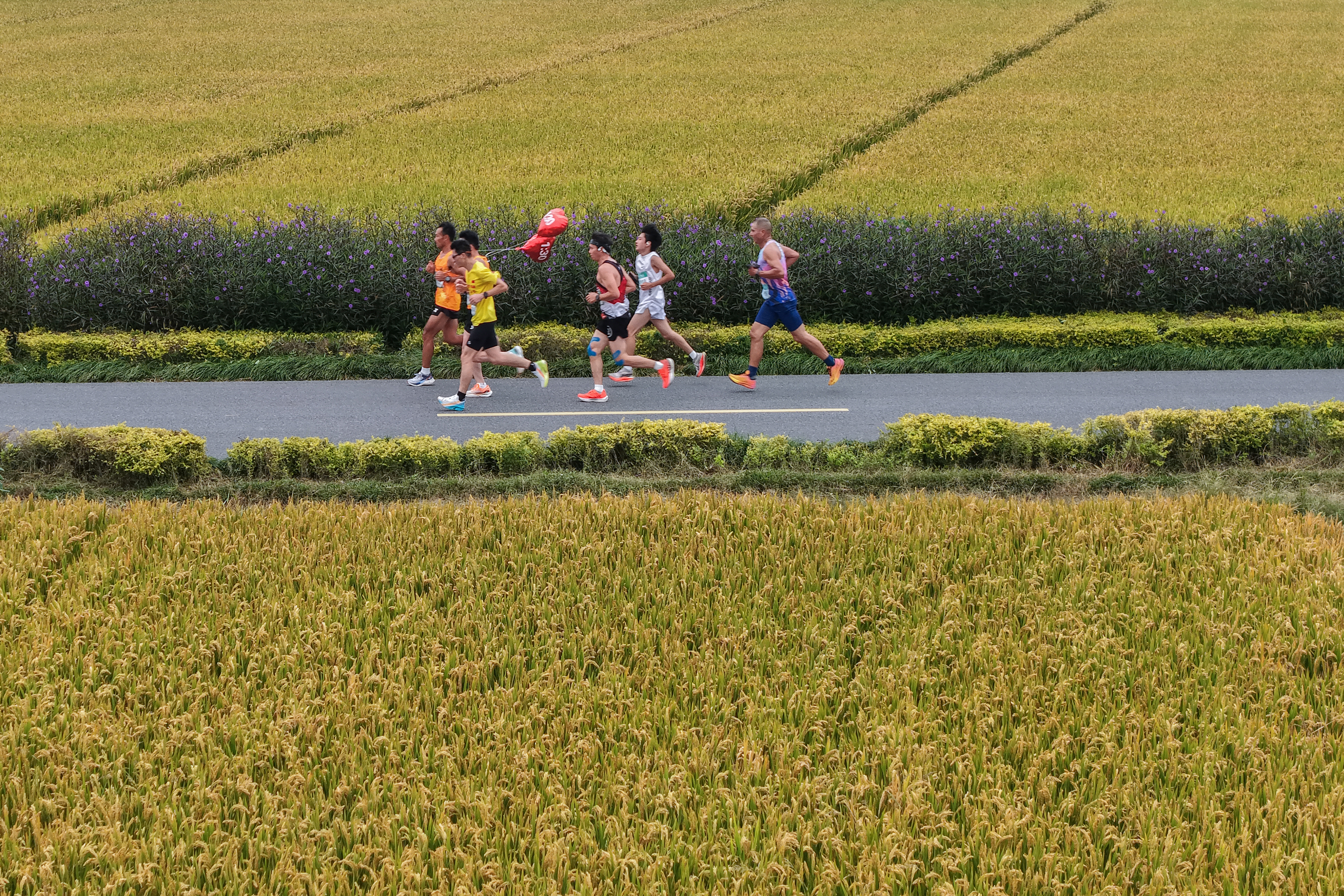 DJI_20251026083247_0064_D 拷貝.jpeg