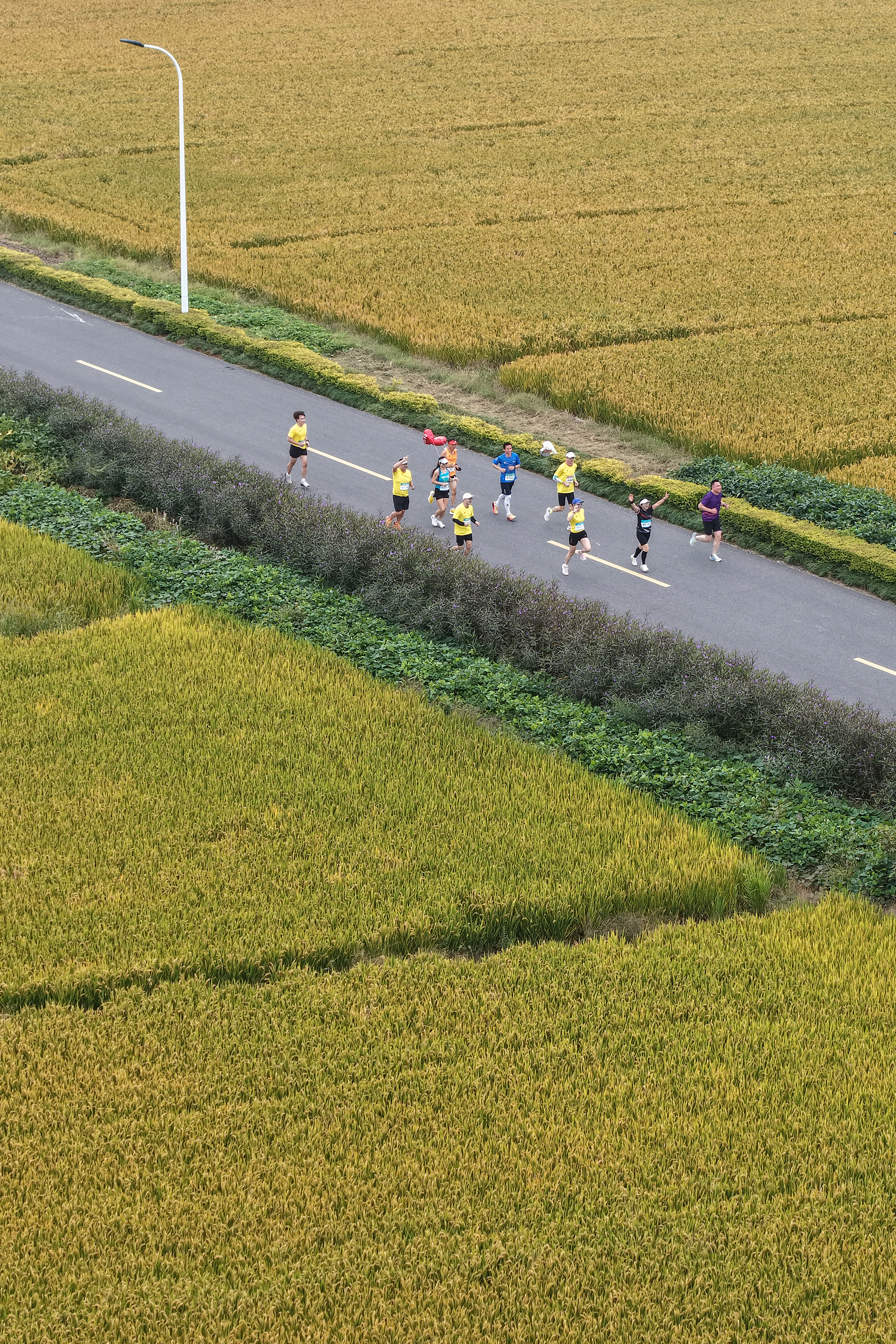 DJI_20251026090412_0099_D 拷貝.jpeg