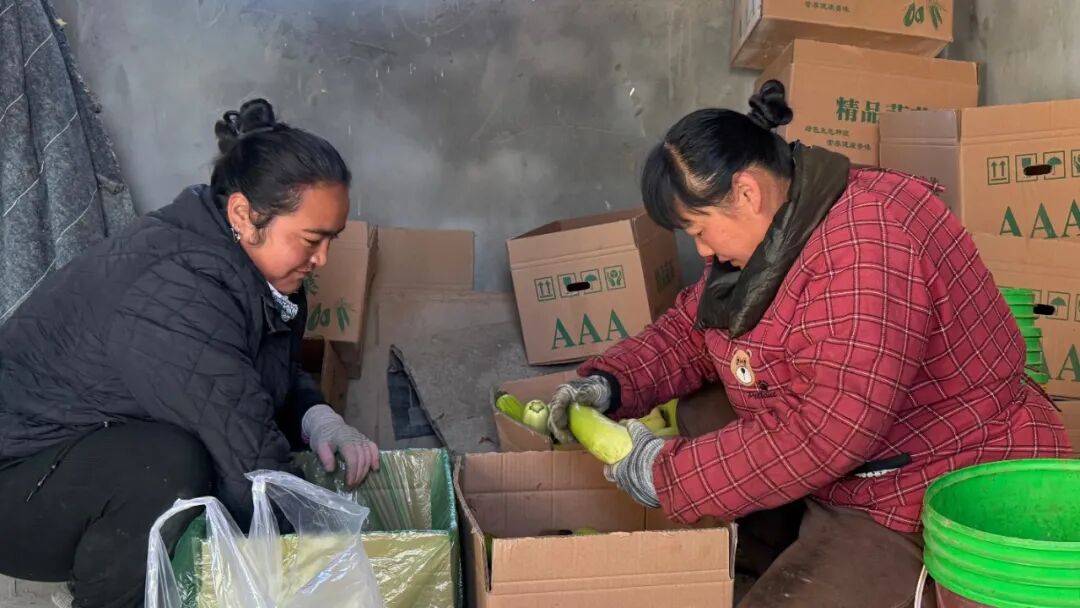 16133510424784.jpeg 图片