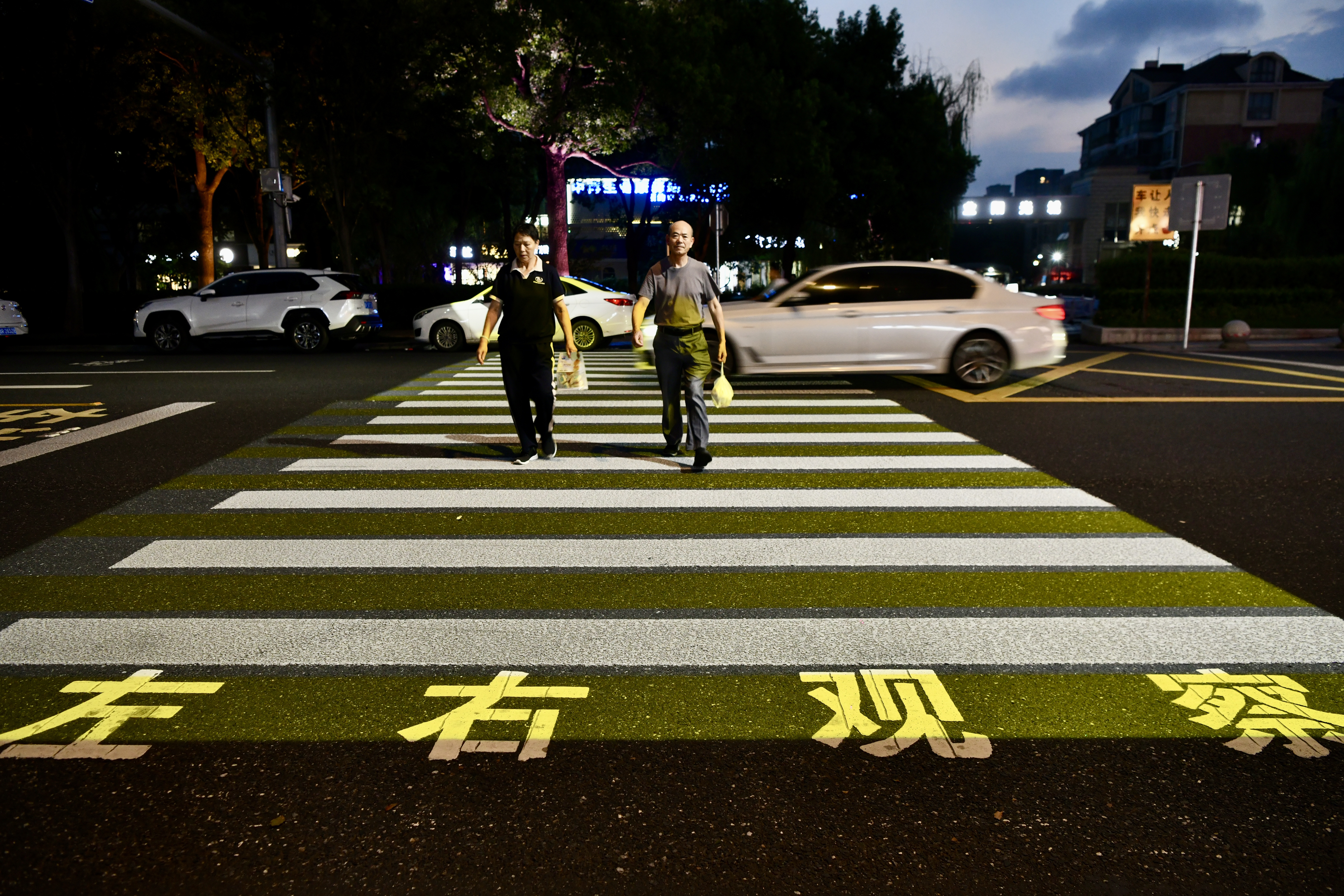DSC_8533.jpeg