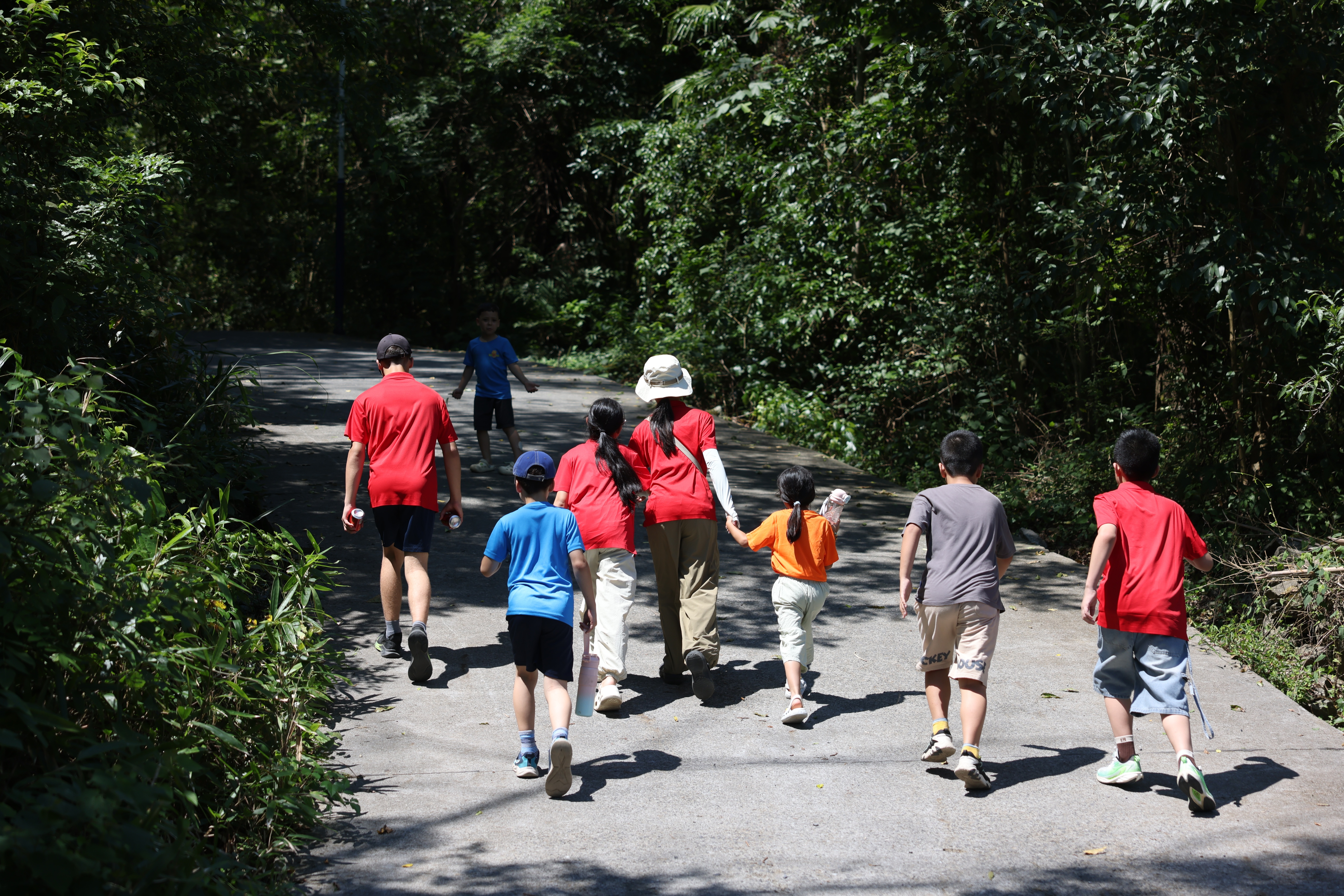 1000011954.jpeg