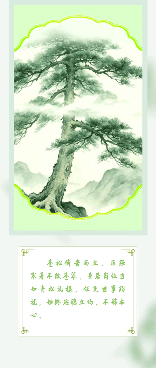 5.gif