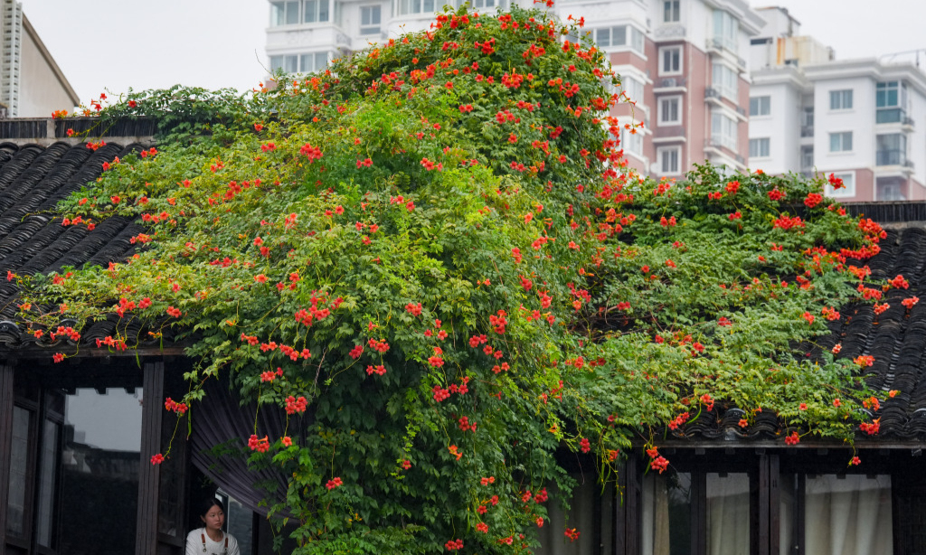 
                细雨中推窗遇江南