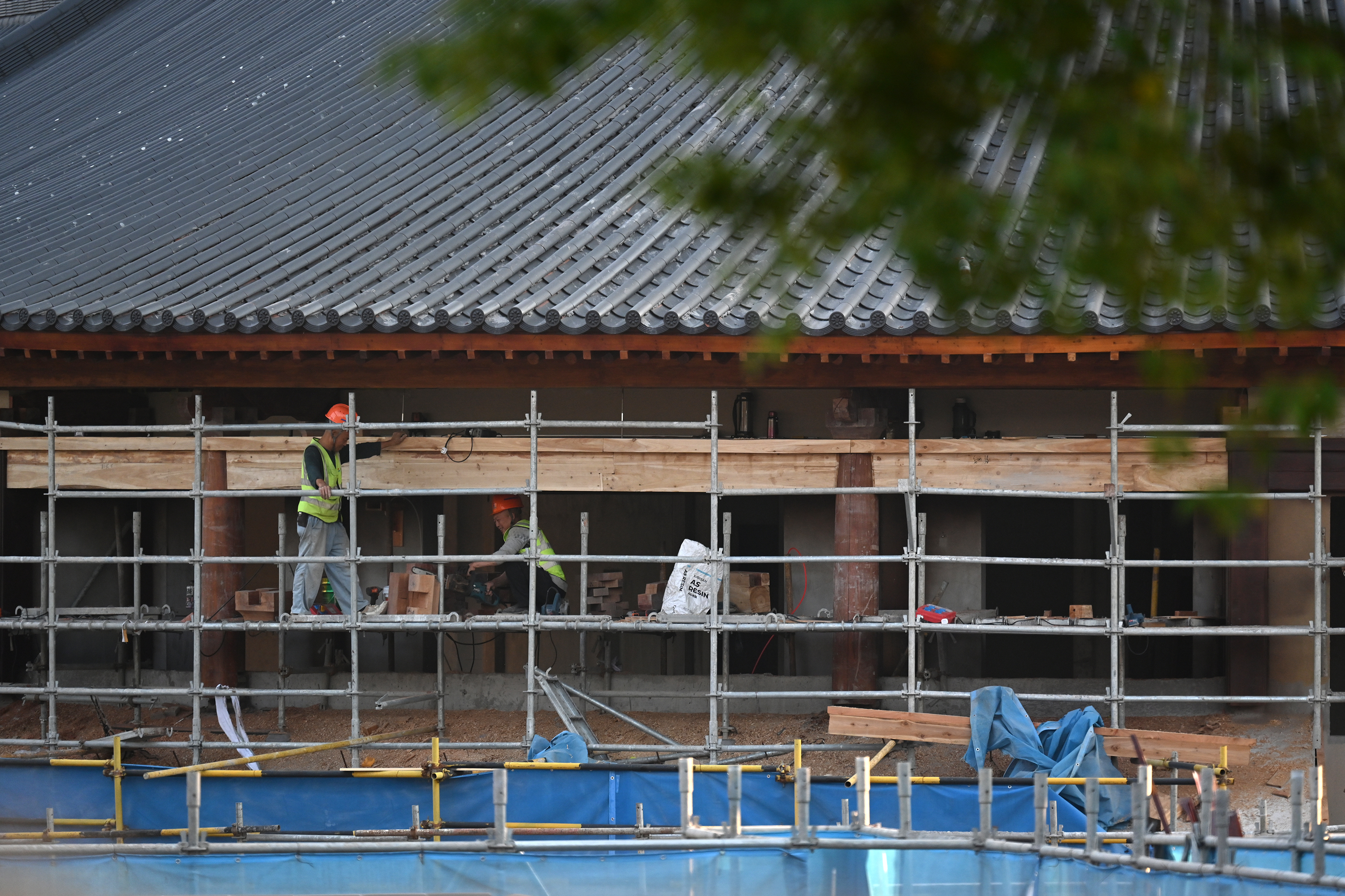 DSC_6333 拷贝.jpg