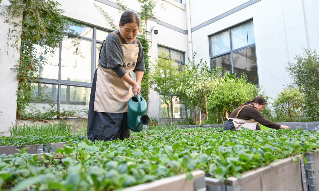 
                “奶奶菜地”种出助老新风尚